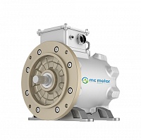 MC Motor Technology products